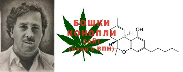 PSILOCYBIN Алексеевка