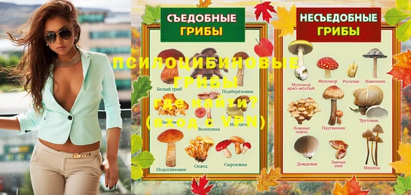 дмт Алзамай