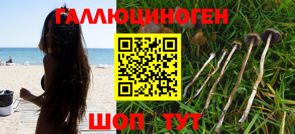 Еманжелинск  Псилоцибиновые грибы прущие грибы  Вход с VPN  Псилоцибиновые грибы мухоморы 