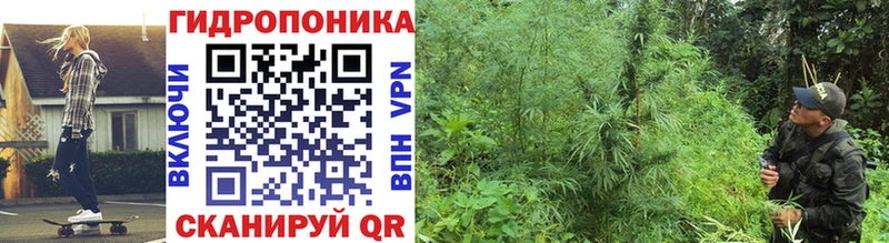 сколько стоит Еманжелинск Бошки марихуана гибрид